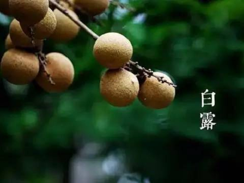 1744946044414520.png 2.png