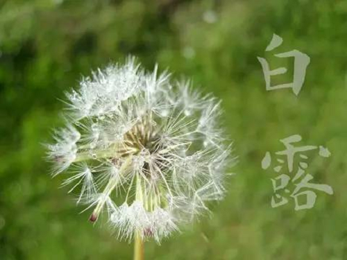 1744946053612365.png 3.png