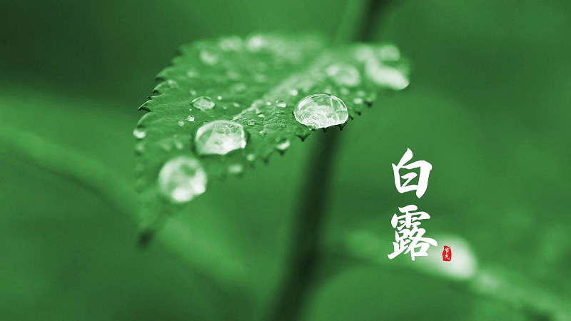 白露至，日后秋渐深